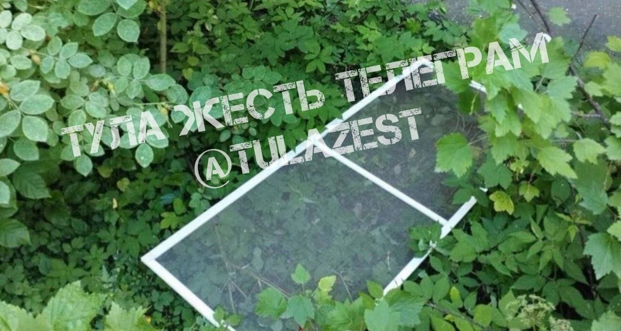 Фотография к публикации «Информация от нашего подписчика подтвердилась»