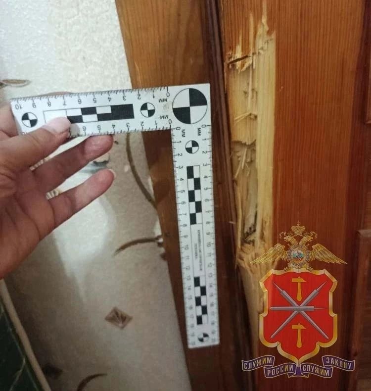 Фотография к публикации «Пенсионер выстрелил в знакомую после отказа ухаживать за ним»