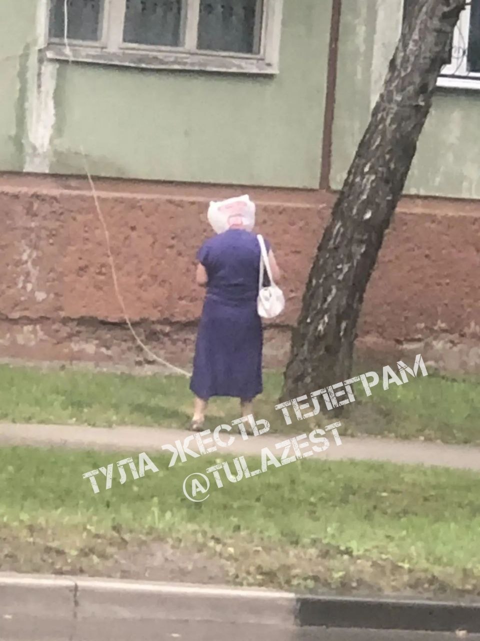 Фотография к публикации «На Калинина женщина с пакетом на голове и с проводом в руках стоит и не двигается уже долгое время.»