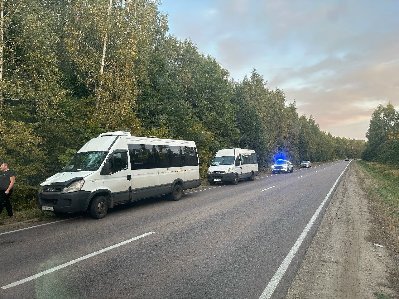 Фотография к публикации «В Богородицком районе автолайн сбил лося»