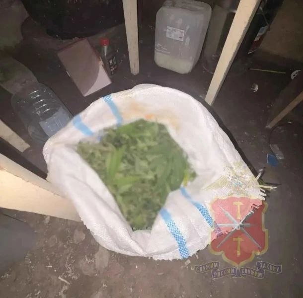 Фотография к публикации «Полкилограмма марихуаны нашли в подвале у жителя Куркино»