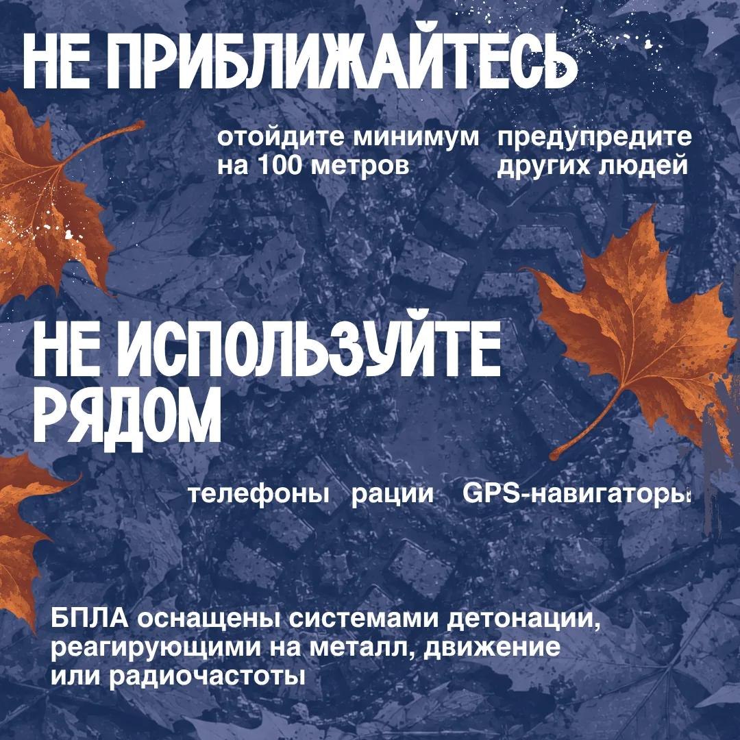 Фотография к публикации «Опаснее мухомора ⚠️»