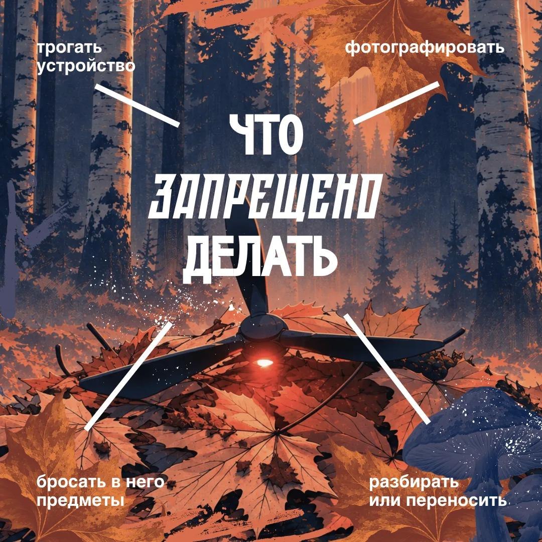 Фотография к публикации «Опаснее мухомора ⚠️»